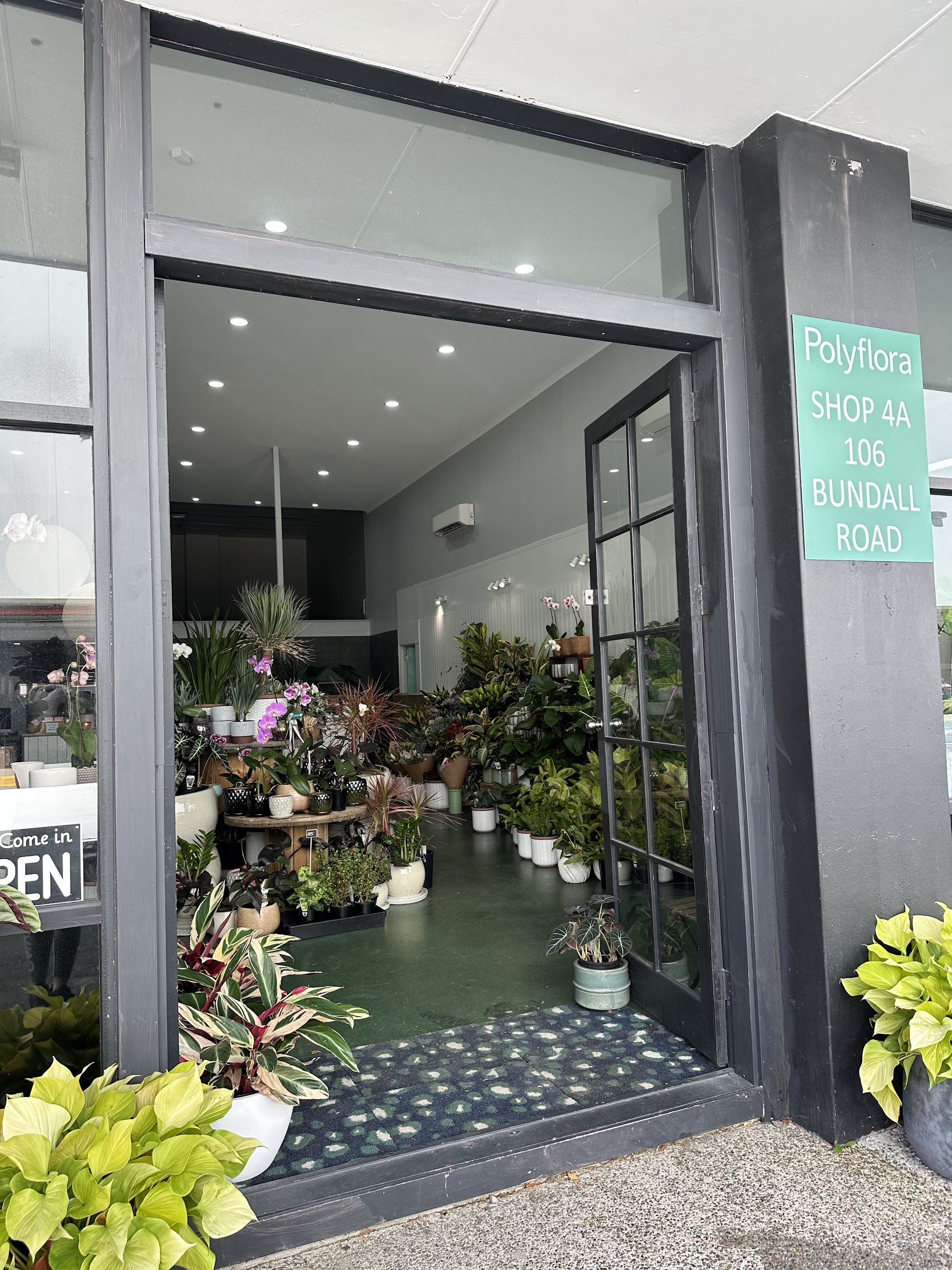 The open front door of Polyflora at Shop 4a, 106 Bundall Road, with plants and orchids inside