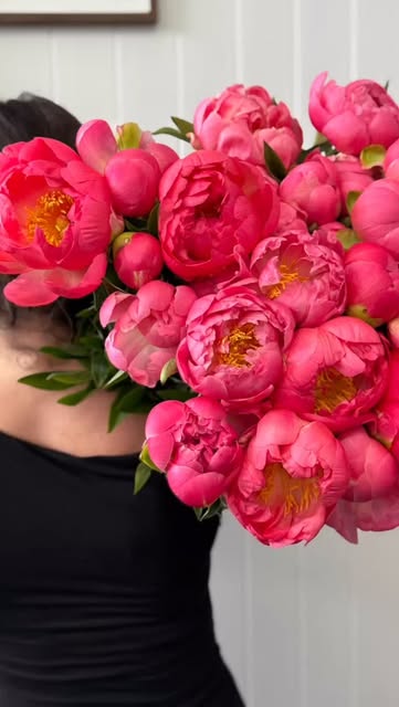 An armful of coral peonies